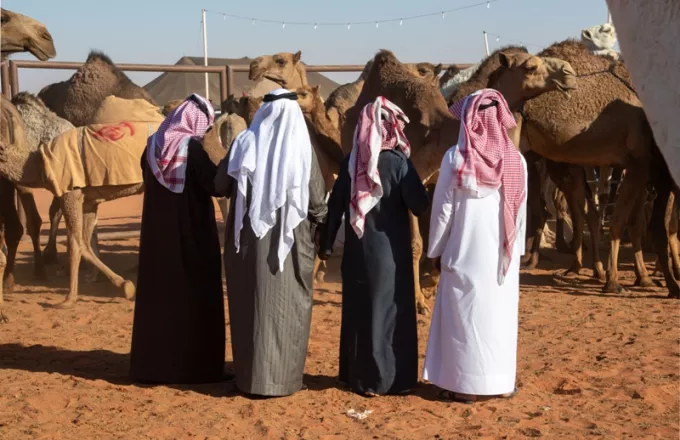 Σαουδική Αραβία: 43 καμήλες εκτός διαγωνισμού ομορφιάς γιατί είχαν υποβληθεί σε… μπότοξ