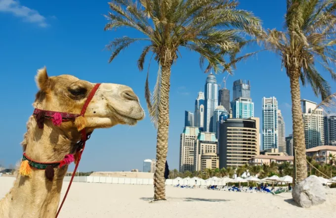 Σαουδική Αραβία: Το πρώτο ξενοδοχείο για... καμήλες στη μέση της ερήμου