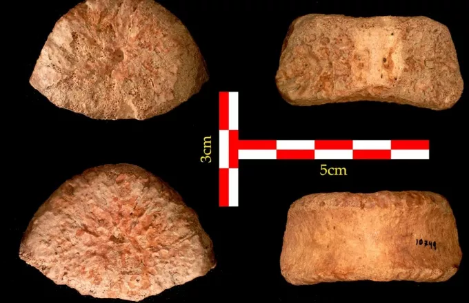 Ανακαλύφθηκε ανθρώπινο οστό ηλικίας 1,5 εκατ. ετών στο Ισραήλ