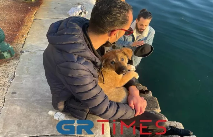 Θεσσαλονίκη: Βούτηξε στον Θερμαϊκό για να σώσει σκυλάκι! (Εικόνες- video)