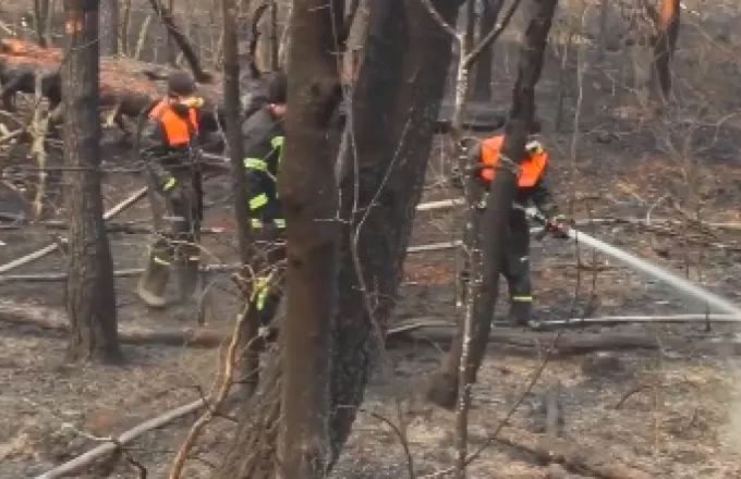 Ουκρανία: Οι πυρκαγιές στο Τσερνόμπιλ είναι σα να «κάθεσαι πάνω σε βαρέλι με μπαρούτι» - Δείτε βίντεο