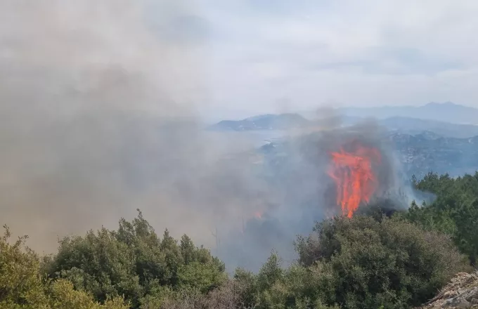 Πυρκαγιά στο Αμόνι Κορινθίας λόγω κεραυνού -Κινητοποιήθηκαν εναέριες δυνάμεις