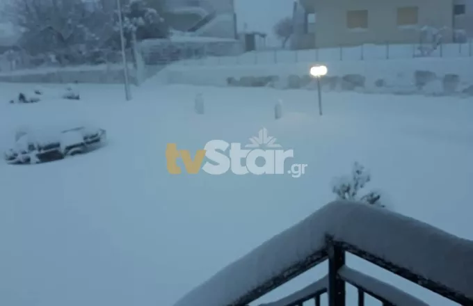 Το χιόνι ξεπερνά το 1,5 μέτρο στην Εύβοια:  Χωριά χωρίς ρεύμα-Που χρειάζονται αλυσίδες