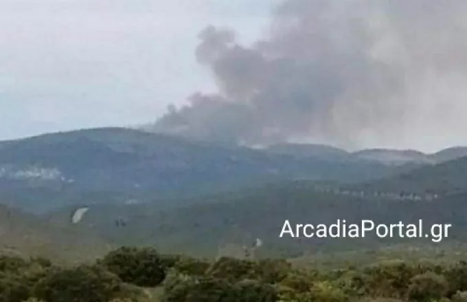 Μαίνεται η πυρκαγιά στην Βαρβίτσα Λακωνίας-  Ολονύχτια «μάχη» με τις φλόγες στην περιοχή