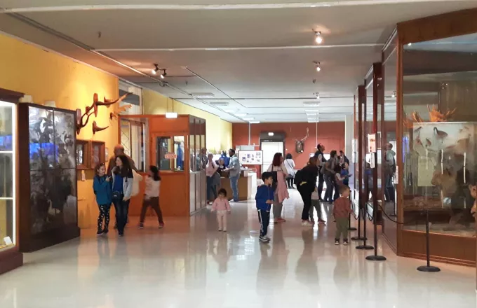 Το Μουσείο Ζωολογίας του ΕΚΠΑ ανοίγει τις πόρτες του το Σαββατοκύριακο 