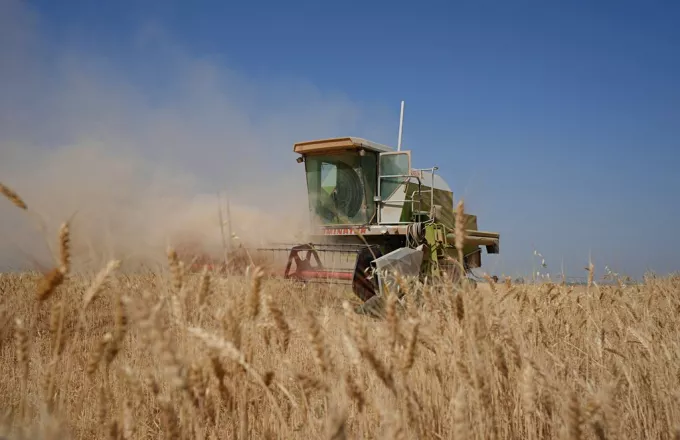 ΟΗΕ: Πάνω από μισό εκατ. τόνοι σιτηρά εξήχθησαν από την Ουκρανία 