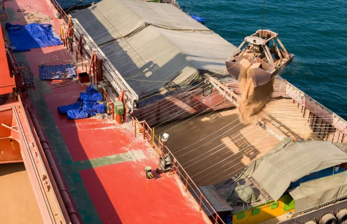Ο πρεσβευτής της Ουκρανίας στην Τουρκία είχε δηλώσει την Κυριακή ότι οι τουρκικές αρχές συνέλαβαν το Zhibek Zholy, το υπό ρωσική σημαία φορτηγό πλοίο με κλεμμένα ουκρανικά σιτηρά