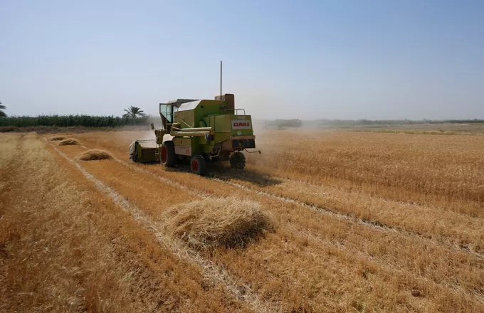 Ουκρανία: «Βουτιά» 40% στη φετινή παραγωγή σιταριού λόγω του πολέμου