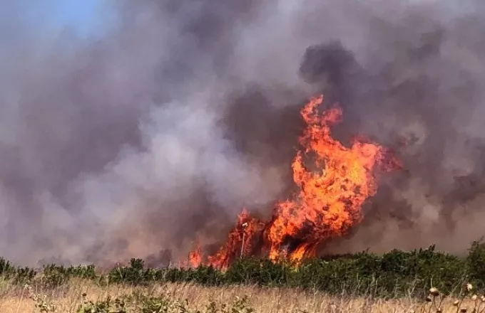 Φωτιά στον Ασπρόπυργο: Σύλληψη άνδρα για πρόκληση πυρκαγιάς από αμέλεια 