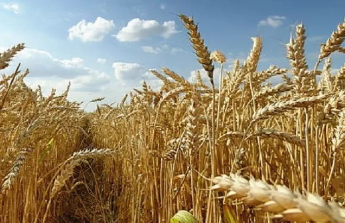 Nasa: «Στα χέρια» των Ρώσων το 22% της αγροτικής γης στην Ουκρανία