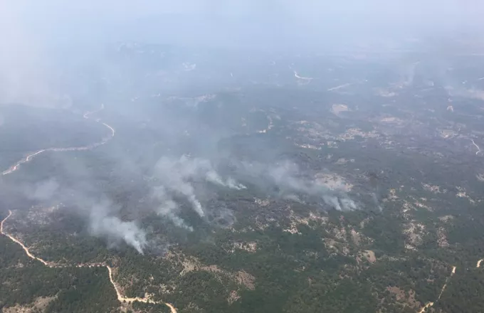 Φωστιά στη Δαδιά Έβρου: Σκληρή μάχη με τις φλόγες για να σωθεί το παρθένο δάσος - Δύο τα μέτωπα
