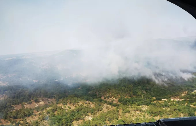 Μάχη με τις φλόγες στην Δαδιά να μην φτάσει η φωτιά στις φωλιές του Μαυρόγυπα