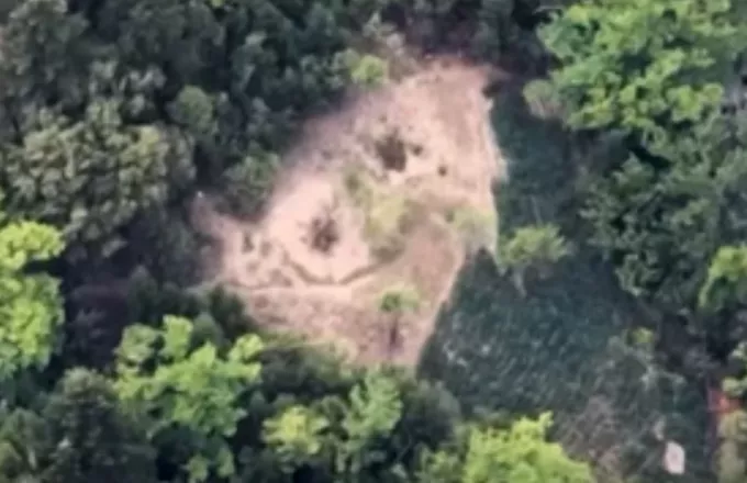 Φωκίδα: Η κρυμμένη φυτεία με εκατοντάδες δενδρύλλια κάνναβης και εξόδους διαφυγής