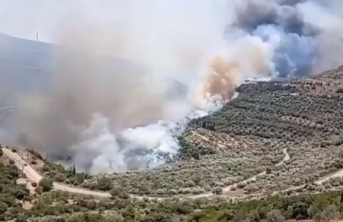 Πυρκαγιά σε δασική έκταση στο Δίστομο