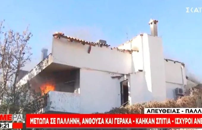 Παραδόθηκε στις φλόγες σπίτι στην Παλλήνη - Η φωτιά απειλεί τη Διώνη - Ισχυροί άνεμοι 