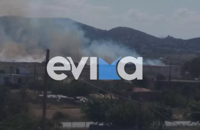 Εύβοια: Φωτιά τώρα σε αγροτική έκταση