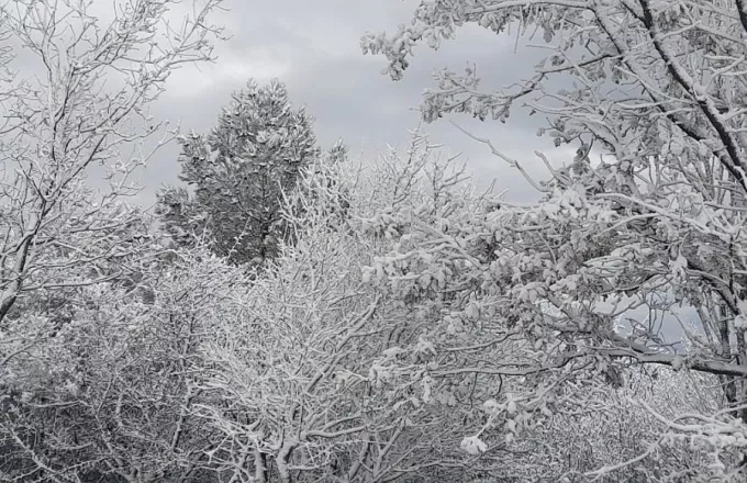 Μπάρμπαρα: Έπεσαν τα πρώτα χιόνια στη Λέσβο