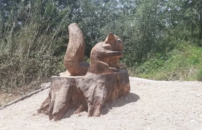 Nεκρά πλατάνια μετατρέπονται σε έργα τέχνης στην Ηγουμενίτσα