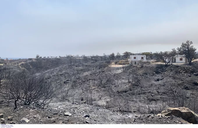 Ρόδος: 135.000 στρέμματα δασικής έκτασης κάηκαν στο νησί, σύμφωνα με υπολογισμούς του πανεπιστημίου Αθηνών - Δηλώσεις Ευθύμιου Λέκκα