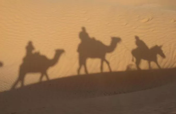 Τι σκοτώνει τις καμήλες;