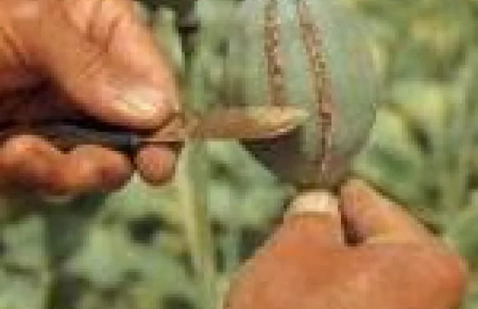 Παραγωγός οπίου το Αφγανιστάν