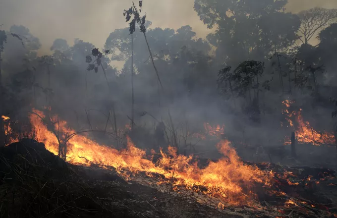 Βραζιλία: Στο έλεος των πυρκαγιών Αμαζόνιος και Παντανάλ