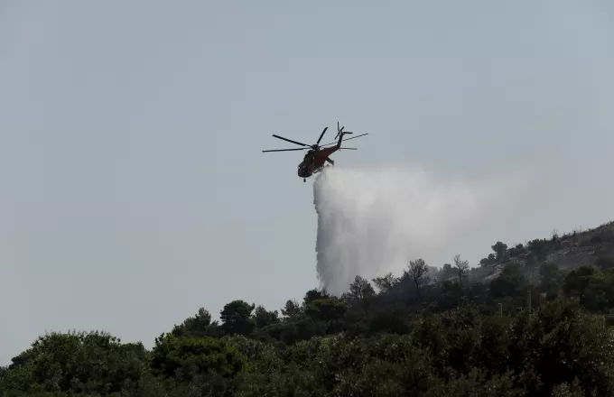 Φωτιά σε δύσβατο σημείο του Κιθαιρώνα.Ενισχύονται οι πυροσβεστικές δυνάμεις