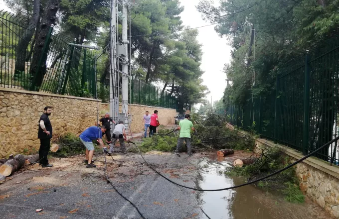 Επτά πρόσφυγες τραυματίες έπειτα από πτώση δέντρου στο hotspot στα Οινόφυτα