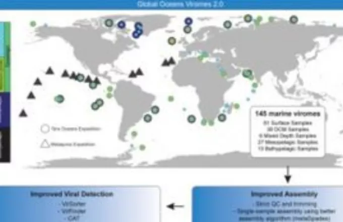 «Απογραφή» ιών της θάλασσας: 200.000 τα είδη αντί για 15.000 που ξέραμε