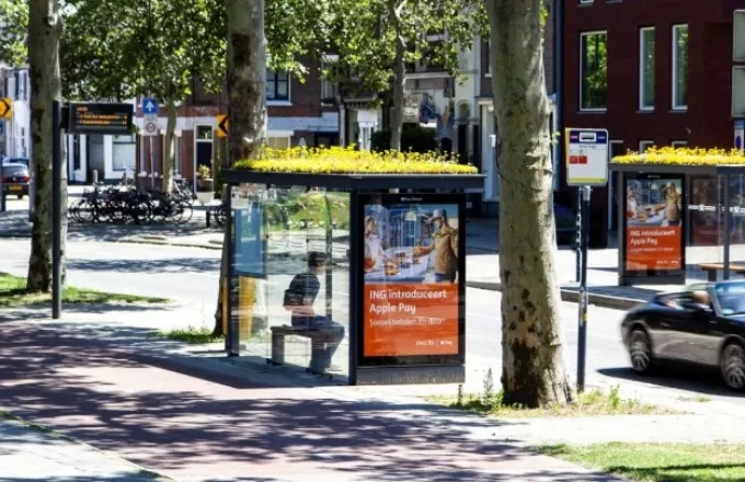 «Φιλόξενες» για τις μέλισσες οι στάσεις λεωφορείων στην Ολλανδία