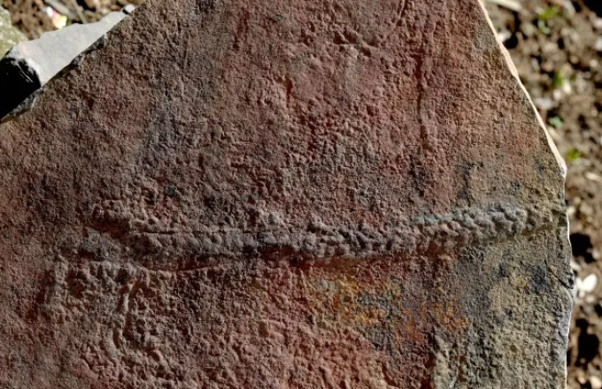Εντοπίστηκε απολίθωμα ζώου που σερνόταν πριν 550 εκατομ. χρόνια στο βυθό