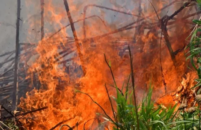 Πυρκαγιά στα Κεραμειά Χανίων - Φόβος για τους δυνατούς ανέμους