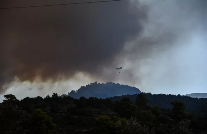 Εύβοια: Αποζημιώσεις για τις πυρκαγιές προανήγγειλε ο Αποστόλου