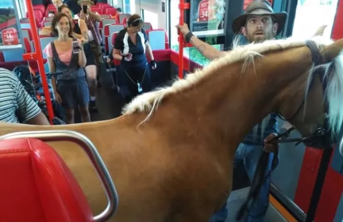 Ένας νεαρός Αυστριακός επιβιβάστηκε στο τρένο με το άλογό του...