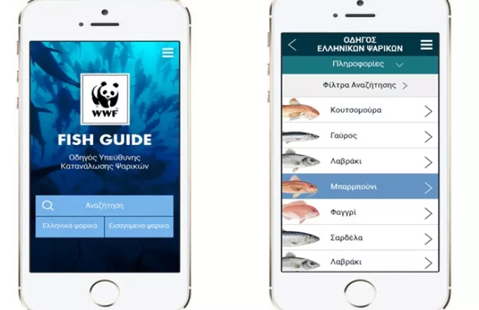 Το 1ο WWF Fish Guide App για απλή και υπεύθυνη κατανάλωση ψαρικών 
