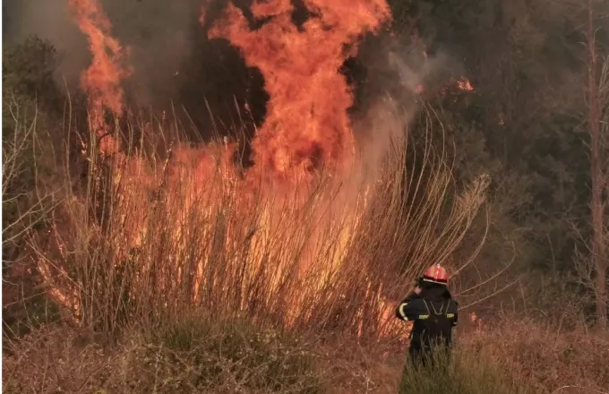 Σε εξέλιξη η φωτιά στη Σάμο: Ενισχύονται οι πυροσβεστικές δυνάμεις από Αθήνα - Προσήχθη ηλικιωμένος