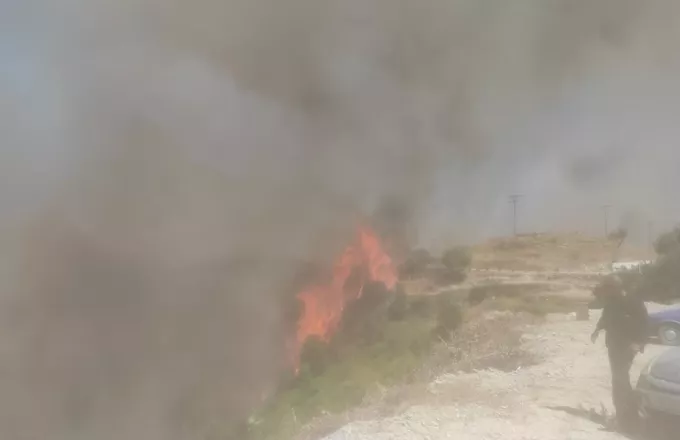 Κεφαλονιά: Πάνω από 10.000 στρέμματα έγιναν στάχτη- Υπό πλήρη έλεγχο η πυρκαγιά