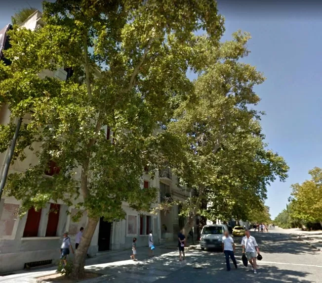 δεντρα