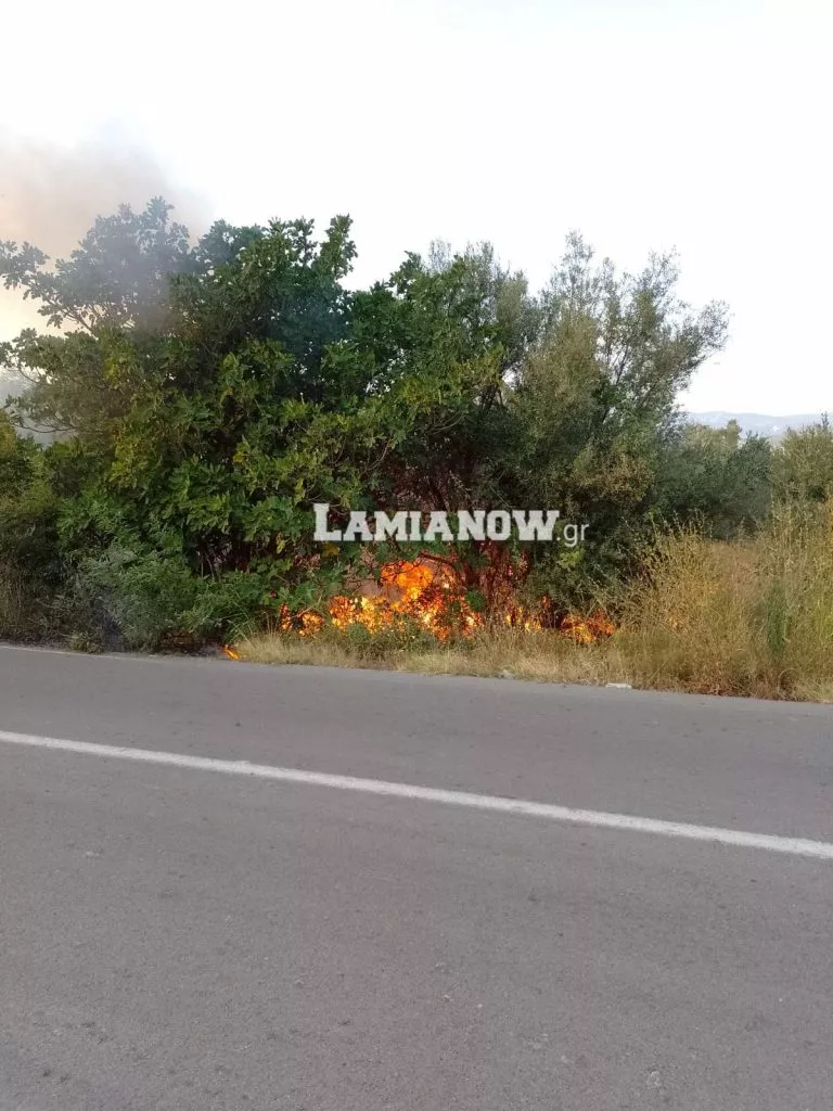 Λαμία