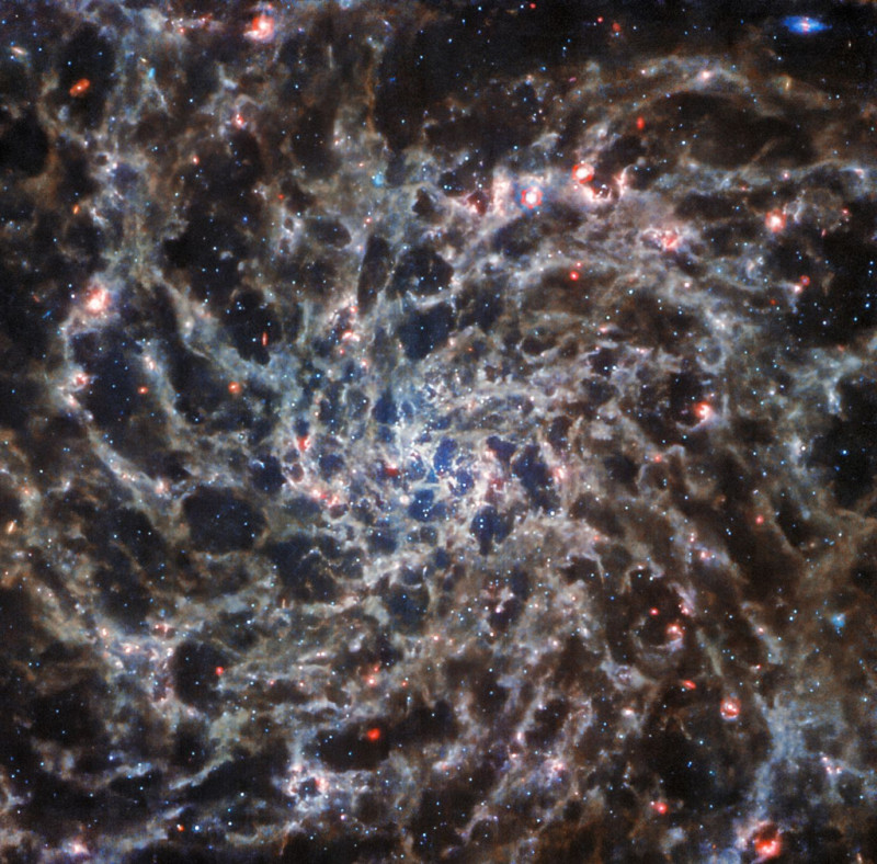 Ο σπειροειδής γαλαξίας IC 5332, ο οποίος απέχει πάνω από 29 εκατομμύρια έτη φωτός μακριά. Το όργανο MIRI του παρατηρητηρίου κοίταξε μέσα από τη διαστρική σκόνη για να δει τα «κόκαλα» του γαλαξία.  