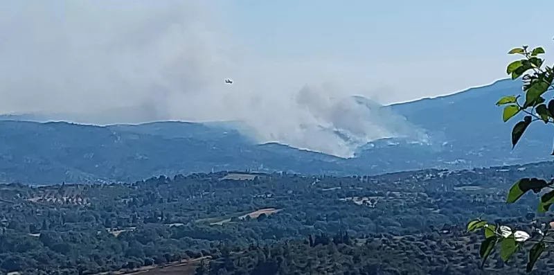 Φωτιά στην Εύβοια