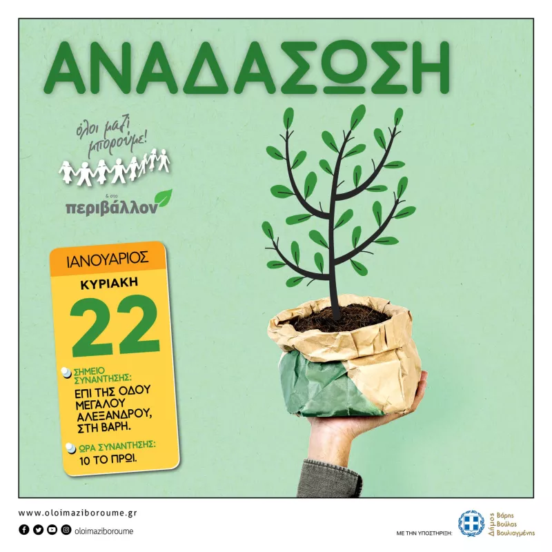 Αναδάσωση