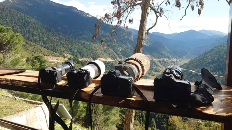 spotters