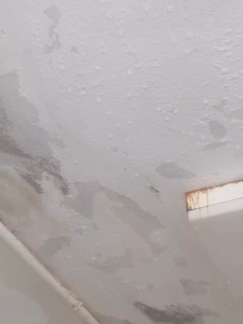 Πλημμύρισε το νηπιαγωγείο της κρανιάς Ελασσόνας - Φωτογραφίες