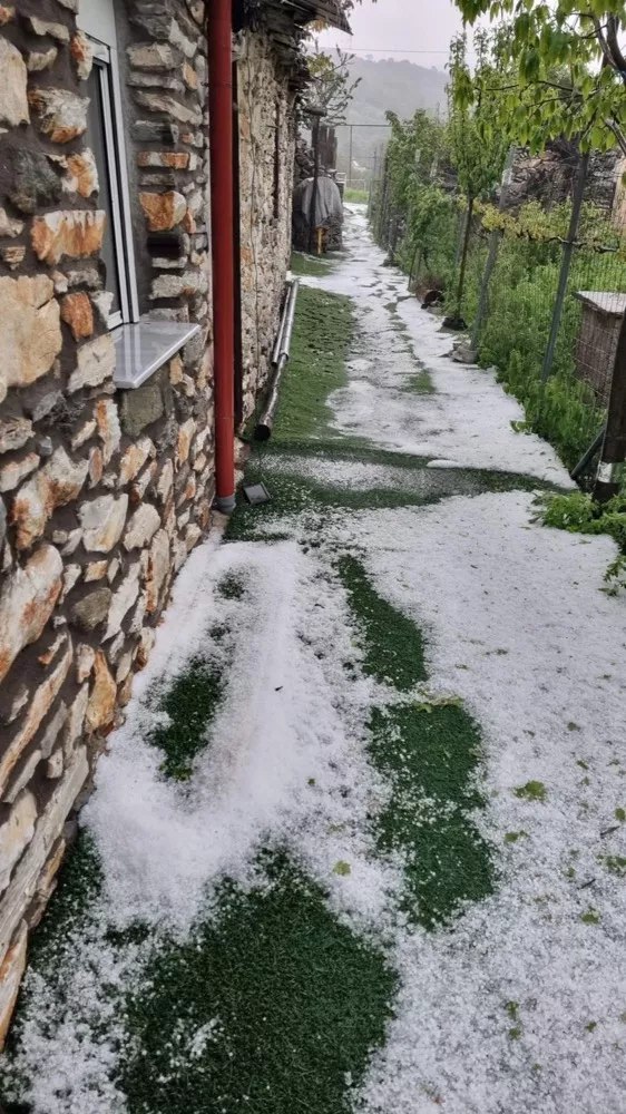 λαρισα