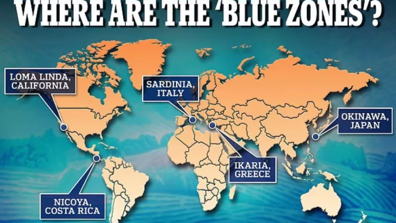 bluzone