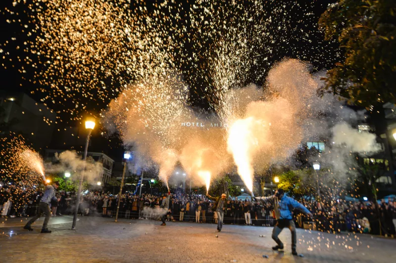 χαλκούνια αγρίνιο 
