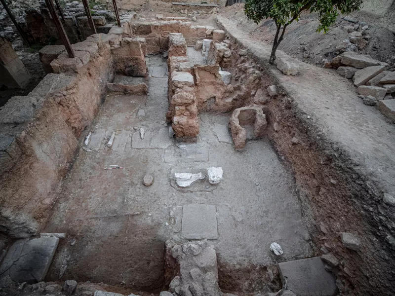 Γενική άποψη της φετινής ανασκαφής από ανατολικά.