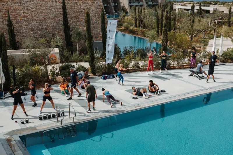 NAVARINO CHALLENGE