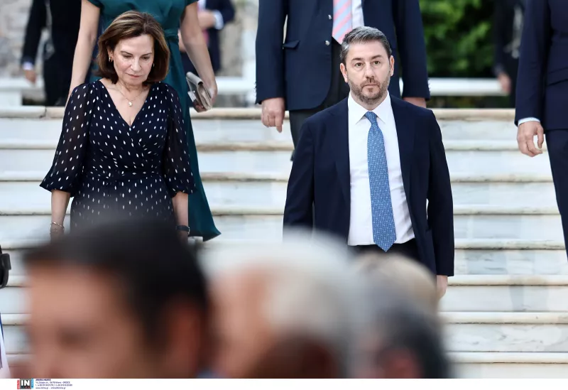 Προεδρικό Μέγαρο - Νίκος Ανδρουλάκης